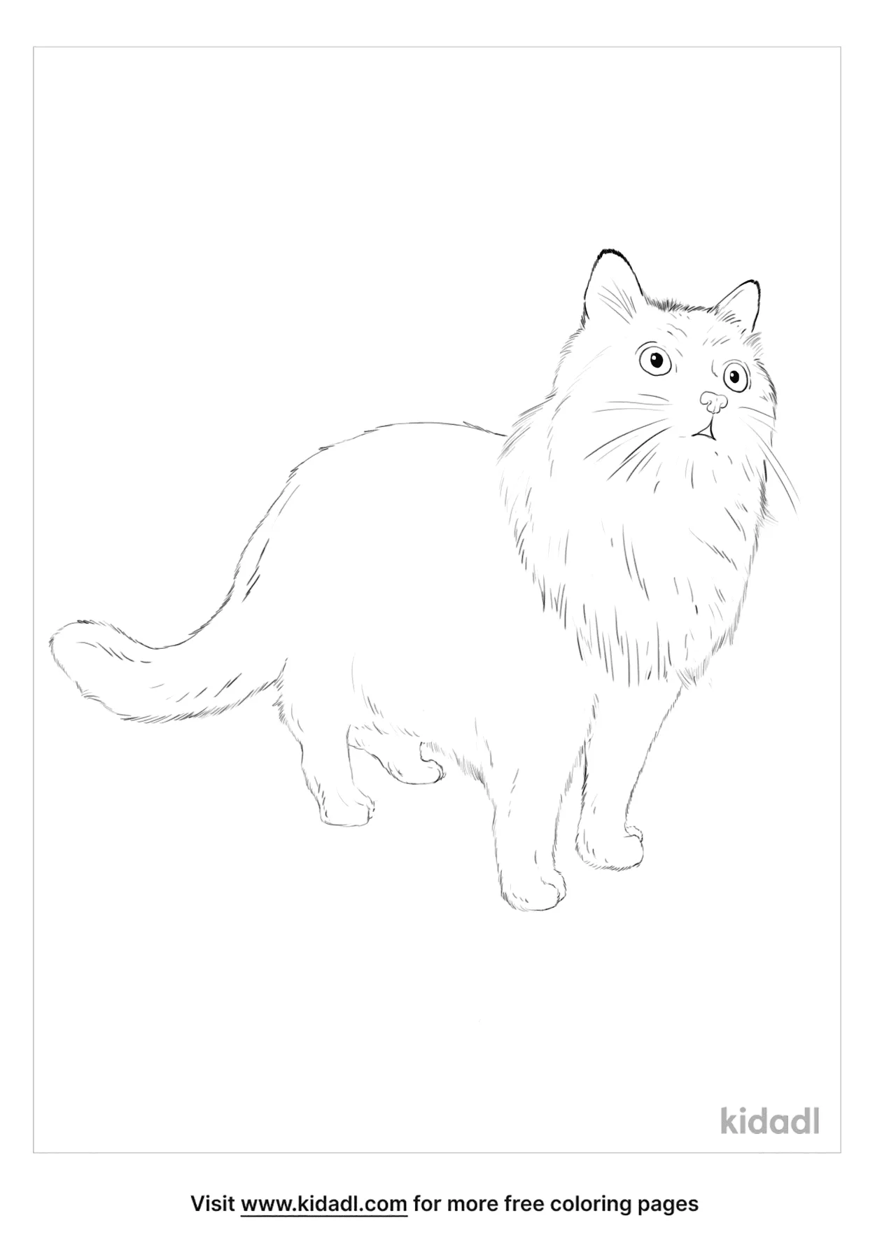 York Chocolate Cat Coloring Page