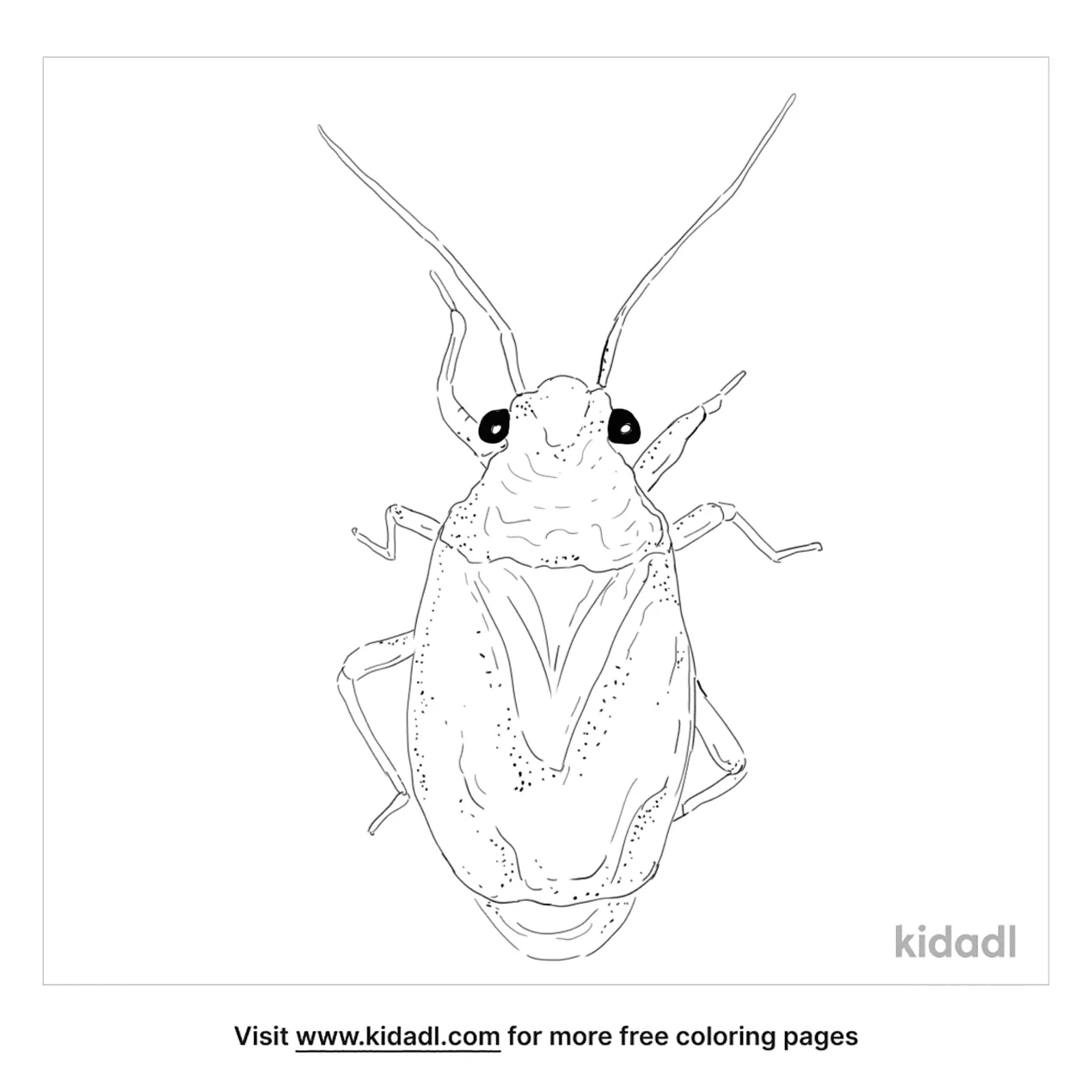 Yucca Plant Bug Coloring Page