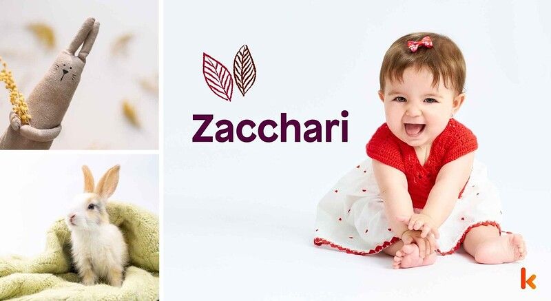 Meaning of the name Zacchari