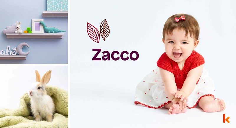 Meaning of the name Zacco